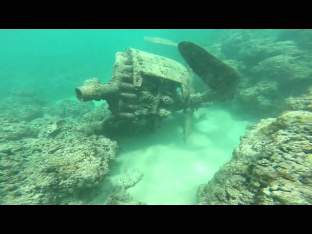 P-47 Wreck, Bellows Air Force Station, Oahu, Hawaii