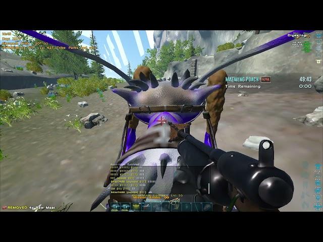 Ark Official PVE- Solo Alpha Maewing Poach-No cheats!