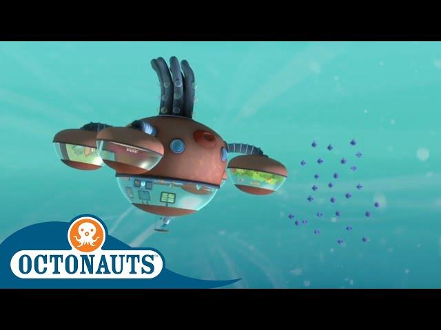 Octonauts - Riding the Rapids | Cartoons for Kids