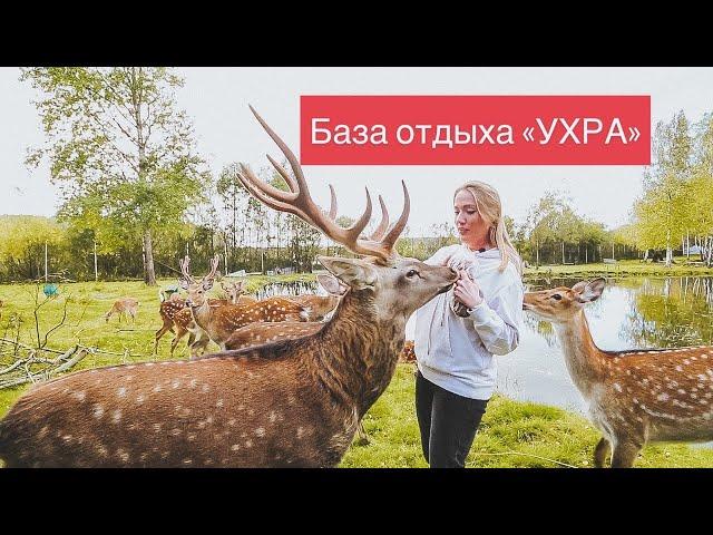 База отдыха УХРА |Олений парк |Отдых с семьей на природе |Отдых на реке Ухра