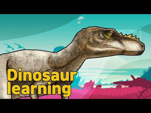 Dinosaur Alioramus Collection | What is this dinosaur? | carnivorous dinosaur  | 공룡 알리오라무스