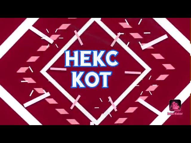 Интро для канала  Новый Некс кот