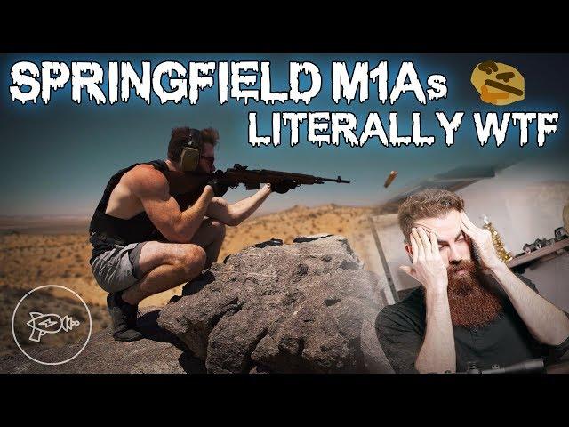 NOTHING MAKES SENSE : Springfield Armory M1As [Review]