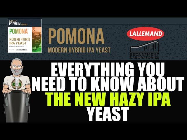 Pomona The NEW HAZY IPA Yeast From Lallemand