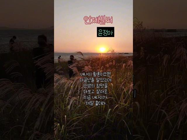 인생의참맛 #바람에 갈대가 이리저리 흔들리고 # 아름답게지는석양의 노을빛