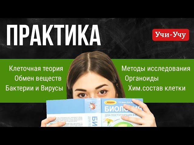 Вебинар практика | Биология ЕГЭ | Учи-Учу