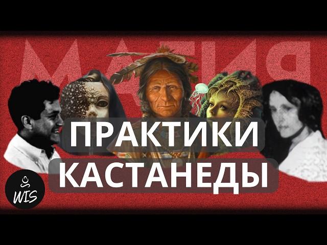 Эти 5 Магических Практик Кастанеды Сделают Тебя Лучше 98% Людей