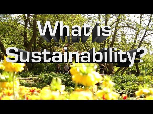 What Is Sustainability?