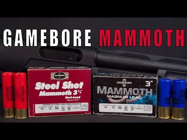 Gamebore Mammoth Magnum Shotgun Cartridge Review