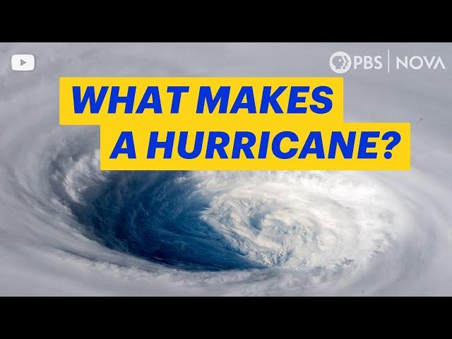 How Does A Hurricane Form? NOVA | PBS