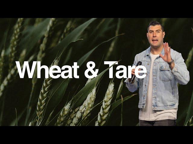 The Parable of the Weeds Explained | Wheat & Tare