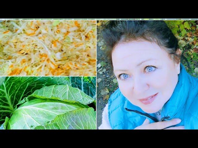 КВАСИМ КАПУСТУ! БЛАГОПРИЯТНЫЕ ДНИ ДЛЯ ЗАСОЛКИ КАПУСТЫ! ВСЕГДА ВКУСНАЯ!