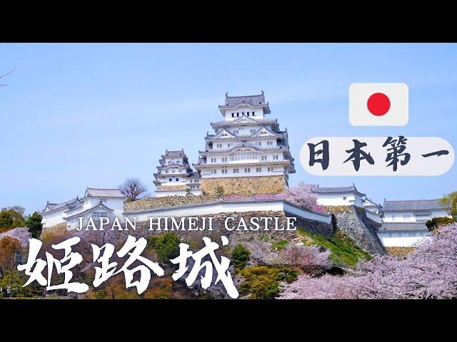 [Japan National Treasure] A must-visit in spring! The beauty of Himeji Castle see cherry blossoming