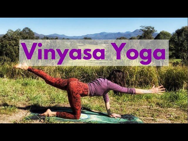 30 Minute Vinyasa Flow Yoga for Beginners | Cole Chance Yoga