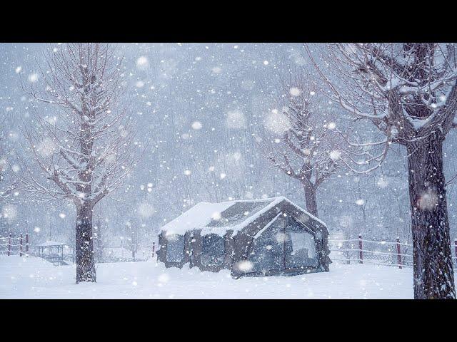 Camping in Heavy Snow | In a perfect air tent that feels like home, cozy camping | snow asmr