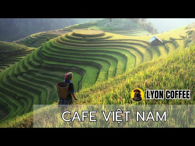 Khám phá nét đẹp văn hóa cà phê Việt Nam | Lyon Coffee