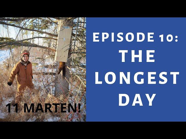 THE LONGEST DAY: Hinterland Trapping Episode 10 - MARTEN, LYNX and COYOTE TRAPPING in the NORTH