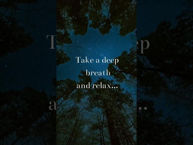 Nature's melody#takeadeepbreath#relax #nature#naturetherapy#naturesmusic#hearthenature#findyourpeace