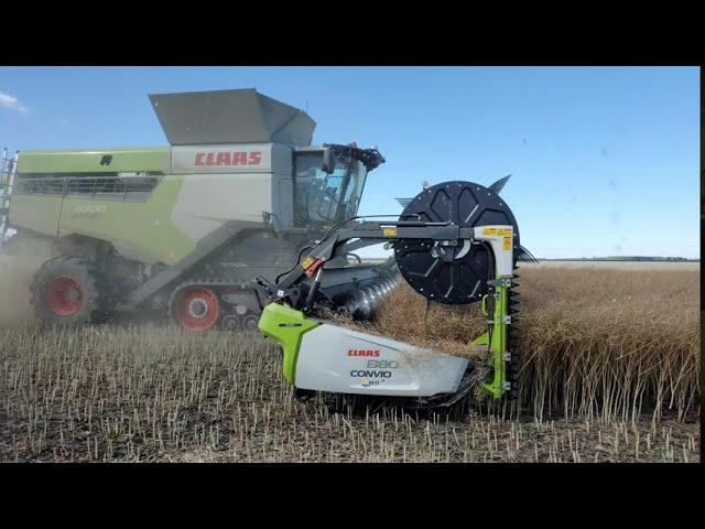 Claas LEXION Combines Straight Cutting Canola 2020