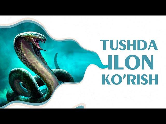 Tushlar tabiri Tushda ilon ko'rish