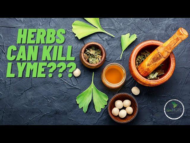 Herbal Protocol for Chronic Lyme Disease