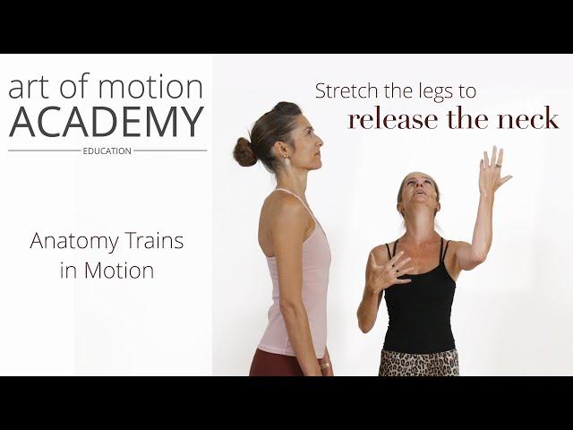 Stretch the Legs to Release the Neck | Anatomy Trains in Motion