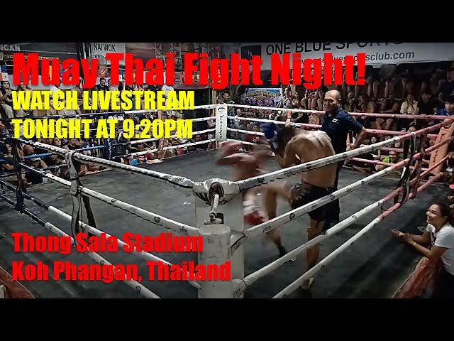 LIVE!  Muay Thai Fight Night | Koh Phangan - 9:20pm Saturday 4 January