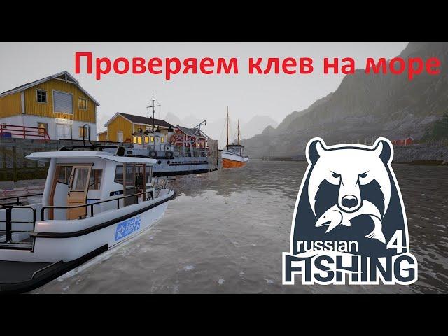 Проверяем клев на море. Стрим --  Хитрый Ёрш