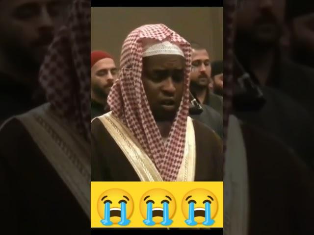 Emotional Crying Quran recitation by Imam faisal️️#shorts #islam #quran #viral #viralshorts