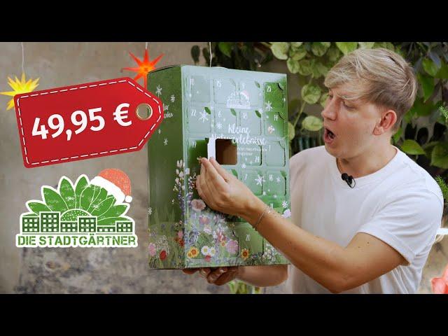 Überteuertes Saatgut?  Ich teste den Adventskalender von Die Stadtgärtner für 50 €!