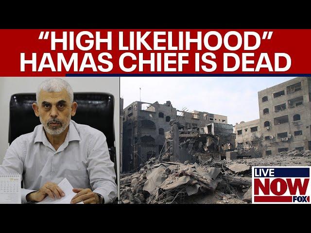 NEW DETAILS: Yahya Sinwar likely dead, Israel kills Hamas terrorists in Gaza | LiveNOW from FOX