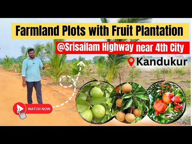 Farmland  Plots @Srisailam Highway near Fourth City | Farm Plots in kandukur