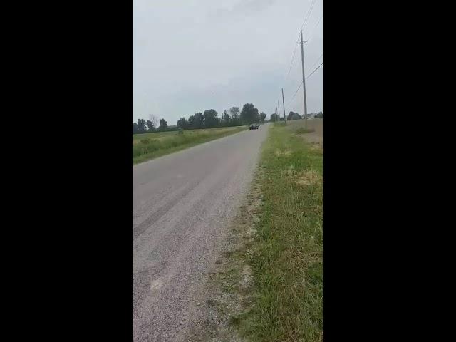 383 stroker Weiand 177 supercharger whine
