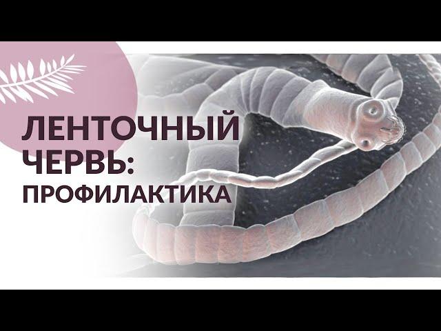 ПАРАЗИТЫ: ЛЕНТОЧНЫЕ ЧЕРВИ. Диагностика и профилактика гельминтов.