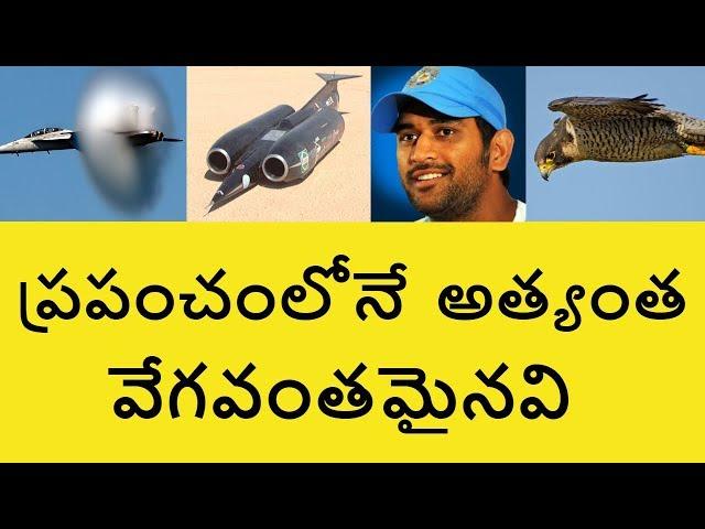 Top Fastest Things in the World in Telugu | Telugu Badi