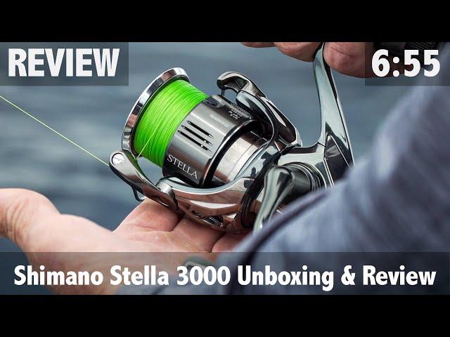 Shimano Stella 3000 Unboxing & Review - Yellowtail Kingfish Test