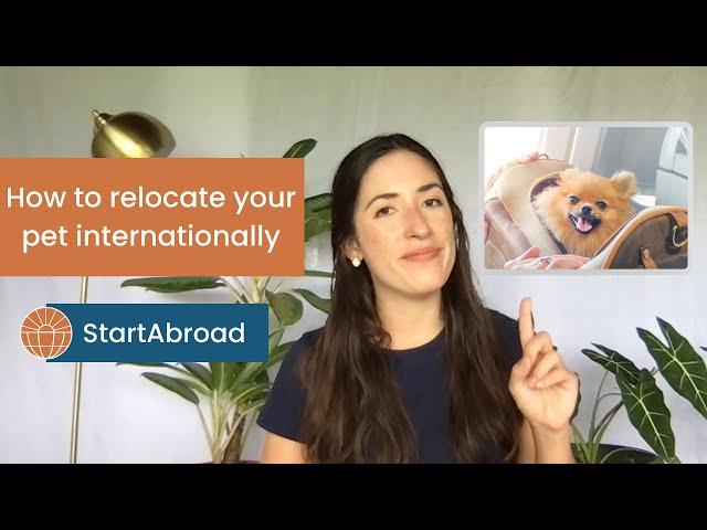 MOVING with Your PET Internationally?? Here's How to FLY Your Dog/Cat SAFELY