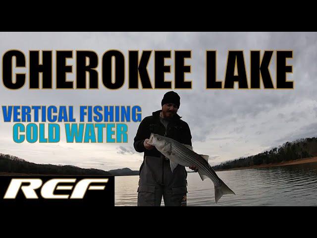 CHEROKEE LAKE: Damiki Rig Fishing For Deep Winter Bass