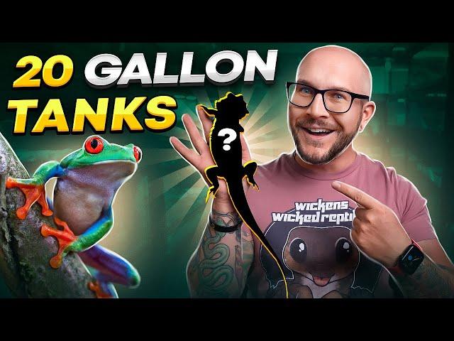 Top 5 Reptiles That Can Live in 20 Gallon Tanks FOREVER!