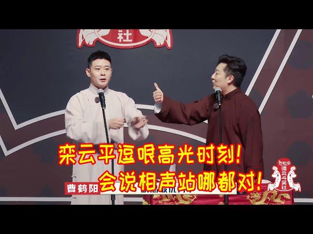 栾云平站桌子外面还是桌子里无所谓！副总逗哏高光时刻！会说相声站哪都对！【德雲斗笑社】