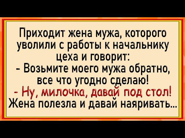 Как жена начальника уговаривала! Сборник свежих анекдотов! Юмор!