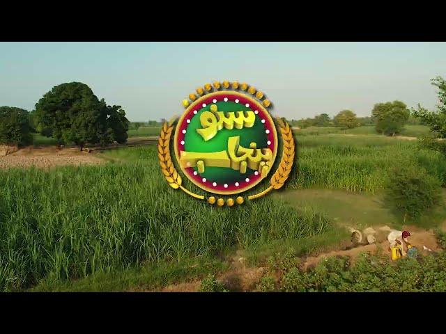 Suno Punjab | Promo | Punjab Dy Rang