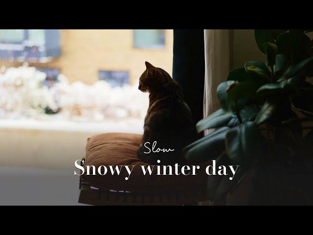 First snow in London | Keeping cosy, watching snowfall ️ [vlog]