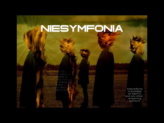 Kamil Kosecki - NIESYMFONIA