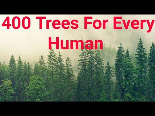 How many trees are there in the world ?