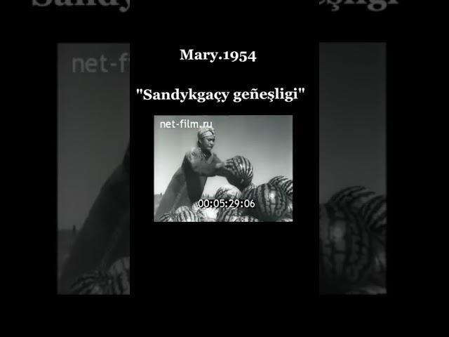 Mary welaýatynyň etraplarynyň 1954 ýyldaky oba hojalygy