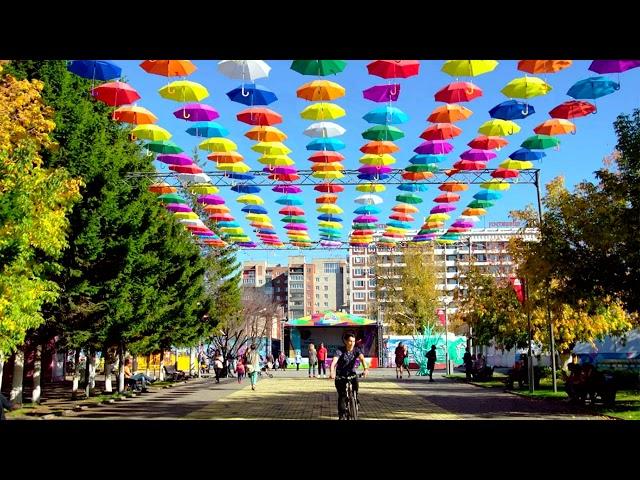 15 достопримечательностей Томска