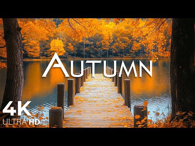 Enchanting Autumn Forests with Beautiful Piano Music4K Autumn Ambience & Fall Foliage #41