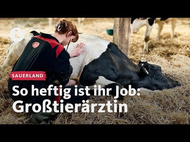 Ein Tag unterwegs mit der Großtierärztin | WDR Lokalzeit LandSchafft