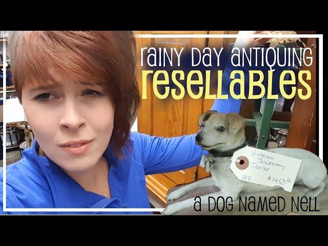 Rainy Day Antiquing, A Dog Named Nell - Resellables - Antique Thrifting